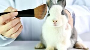 Eksperimen Terhadap Hewan